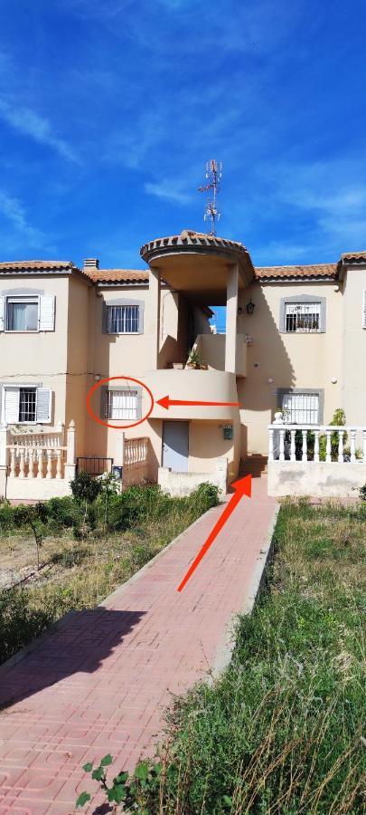 Apartamento Zeus La Mata *